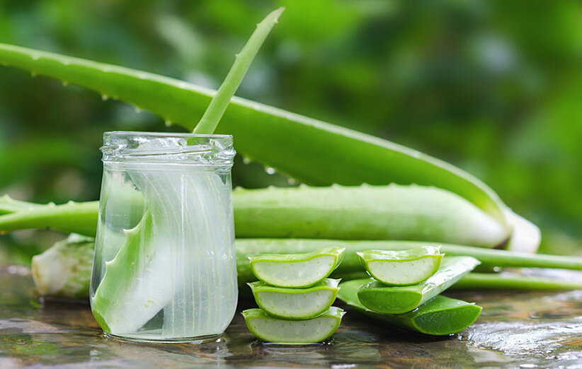 آلوئه ورا چه خواصی دارد؟