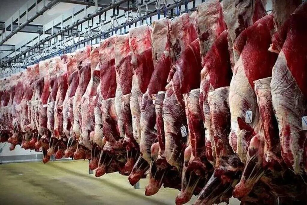 آیا گوشت گوسفند ارزان می شود؟