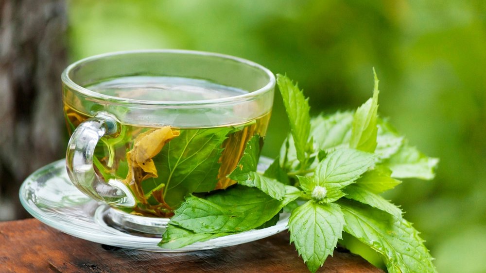 آیا چای سبز برای کاهش وزن مفید است؟ + خواص چای سبز