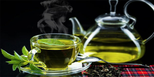 آیا چای سبز برای کاهش وزن مفید است؟ + خواص چای سبز