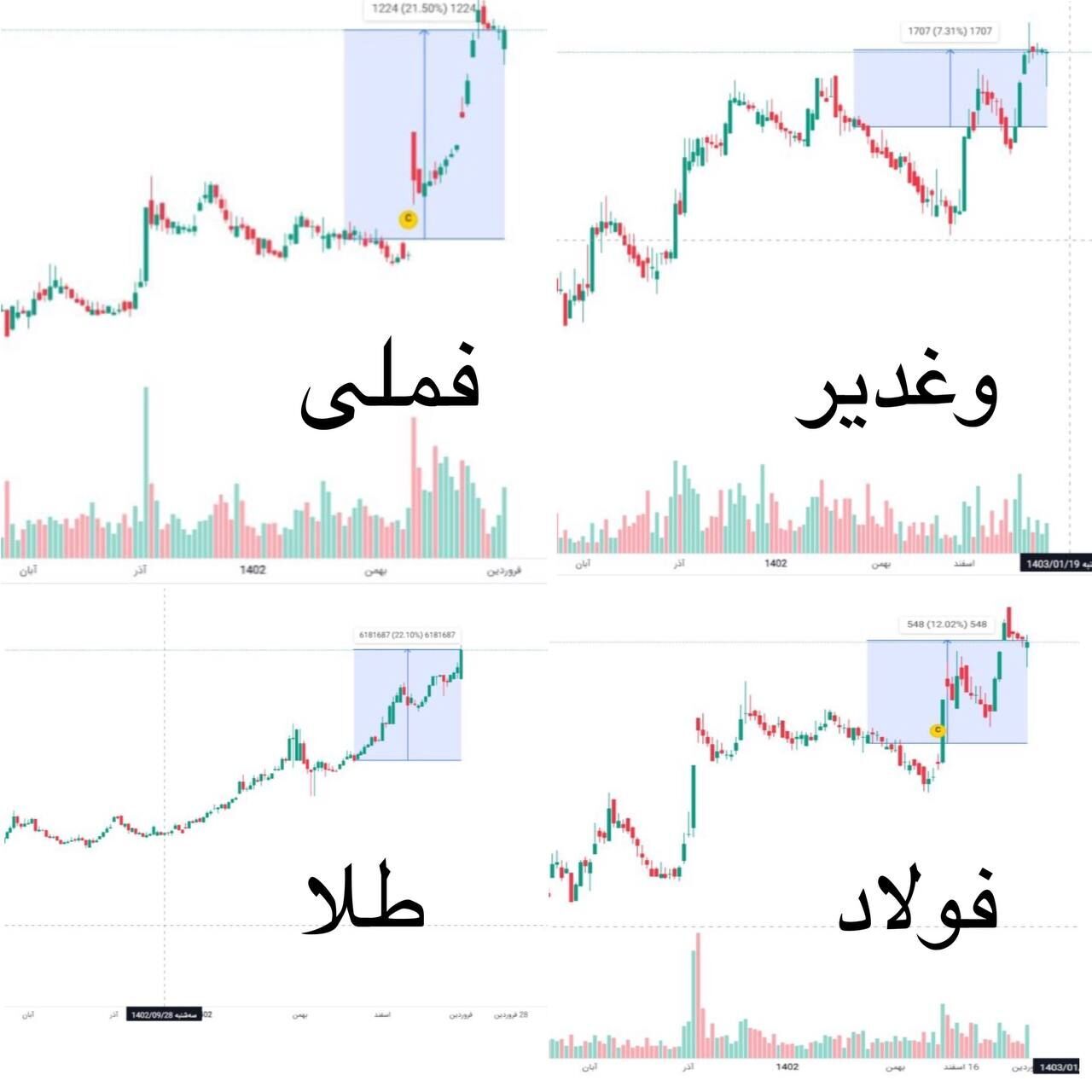 کدام نمادهای بورس امسال پرتفوی سهامداران را بیمه می کنند؟