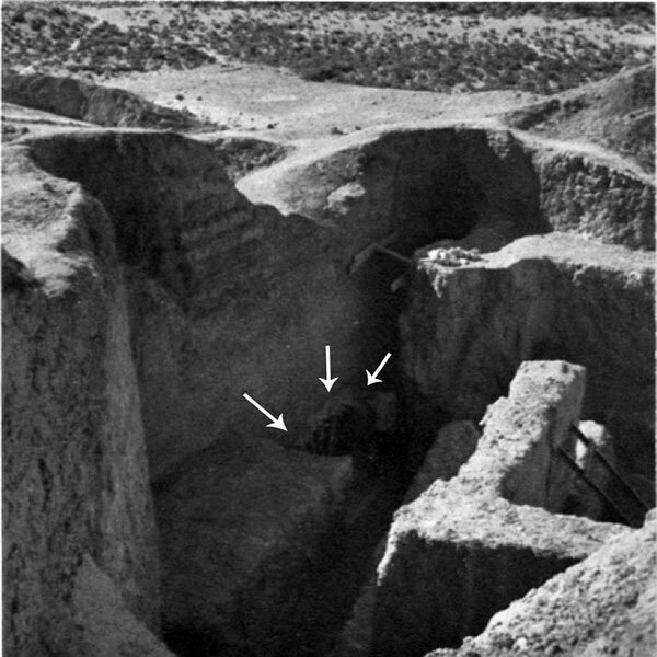 تهدید کننده تهدید کننده