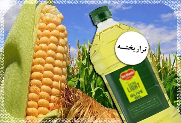 آیا گیاهان تراریخته برای سلامتی مضر هستند؟