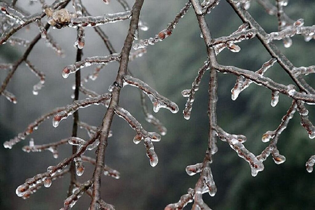 سرمای شدید هوا و یخبندان در راه اصفهان