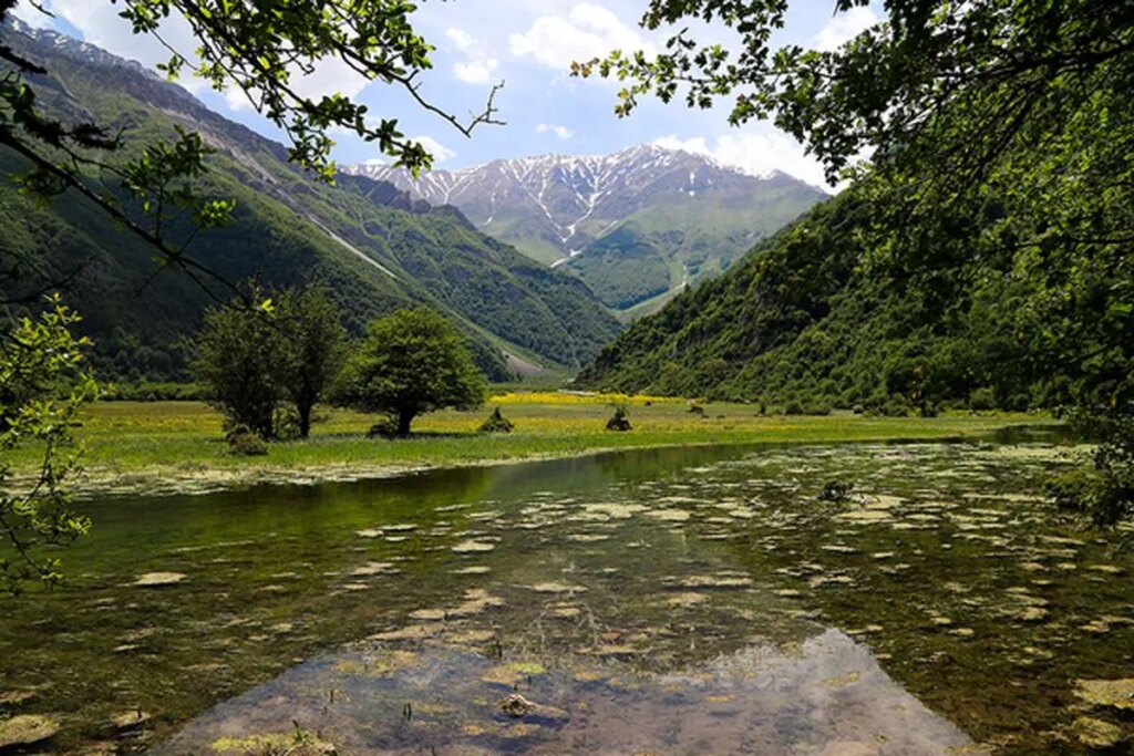 تصاویر پول ، دشت در قلب آلبرت