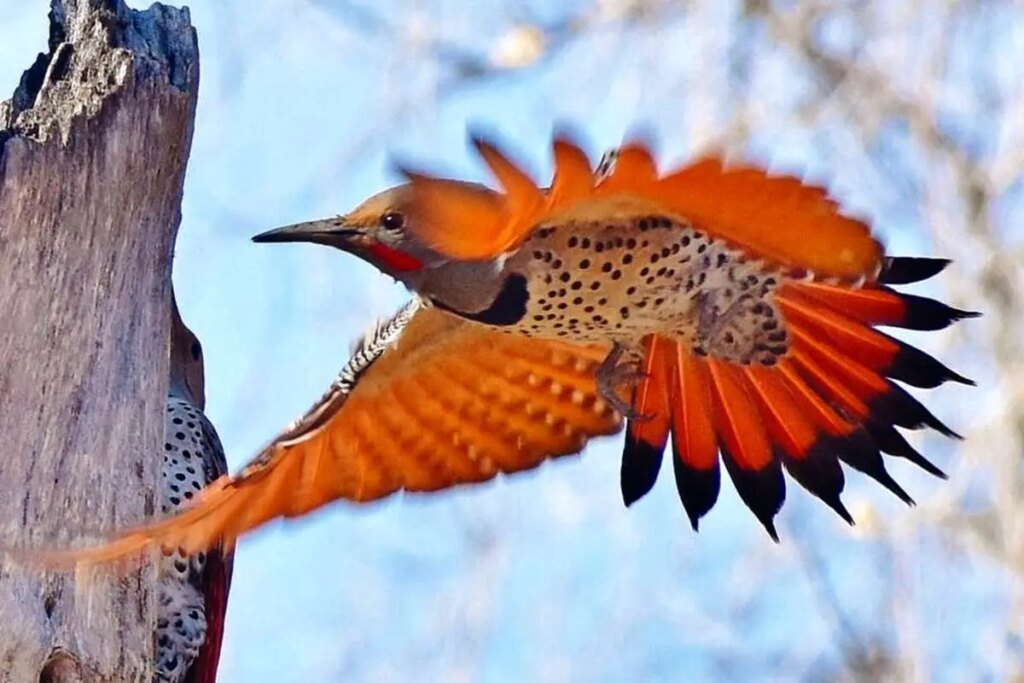 حماسه در قلب طبیعت ؛ تاریکی با مار برای بقا