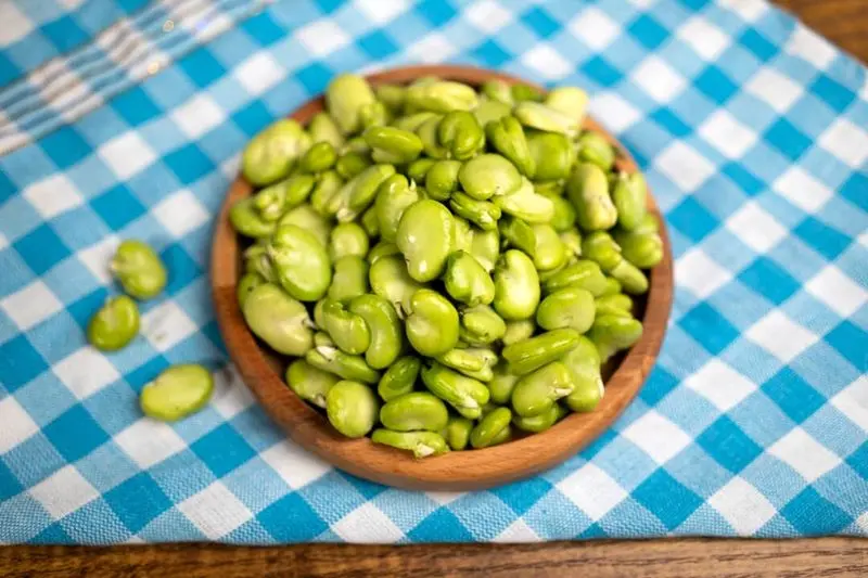 جدیدترین روش پخت لوبیا ؛ با این نکات کلیدی ، طعم لوبیا عالی می شود