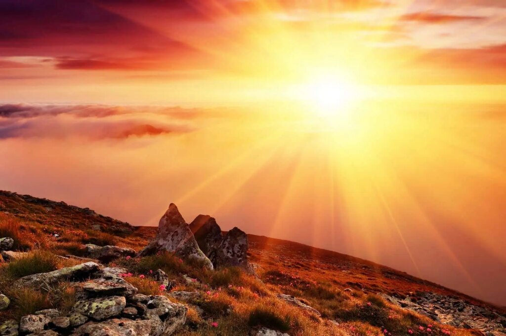 تفال به حافظ چهارشنبه ۲4 اردیبهشت ۱۴۰۴؛ ساقی بیا که شد قدح لاله پر ز می....