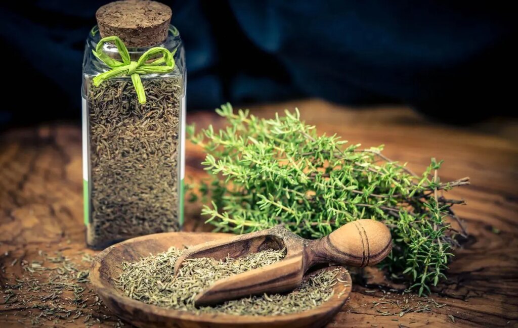 دو گیاه دارویی با خواص ضدسرفه و آرام‌بخش