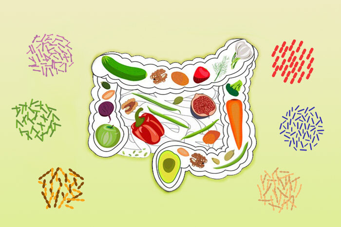 عملکرد میکروبیوم روده و ورزشکار