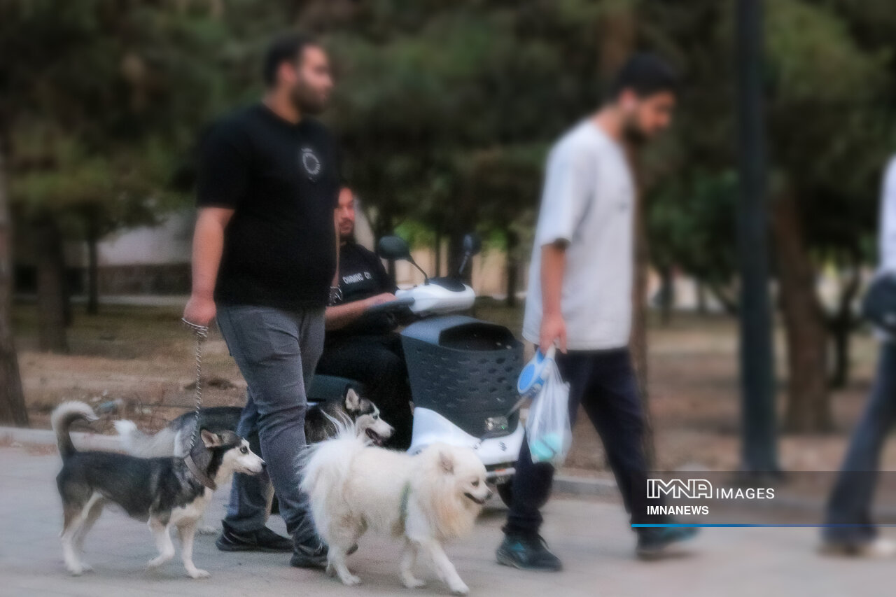 تأمین اجتماعی تحت تأثیر یک مشکل رفتاری