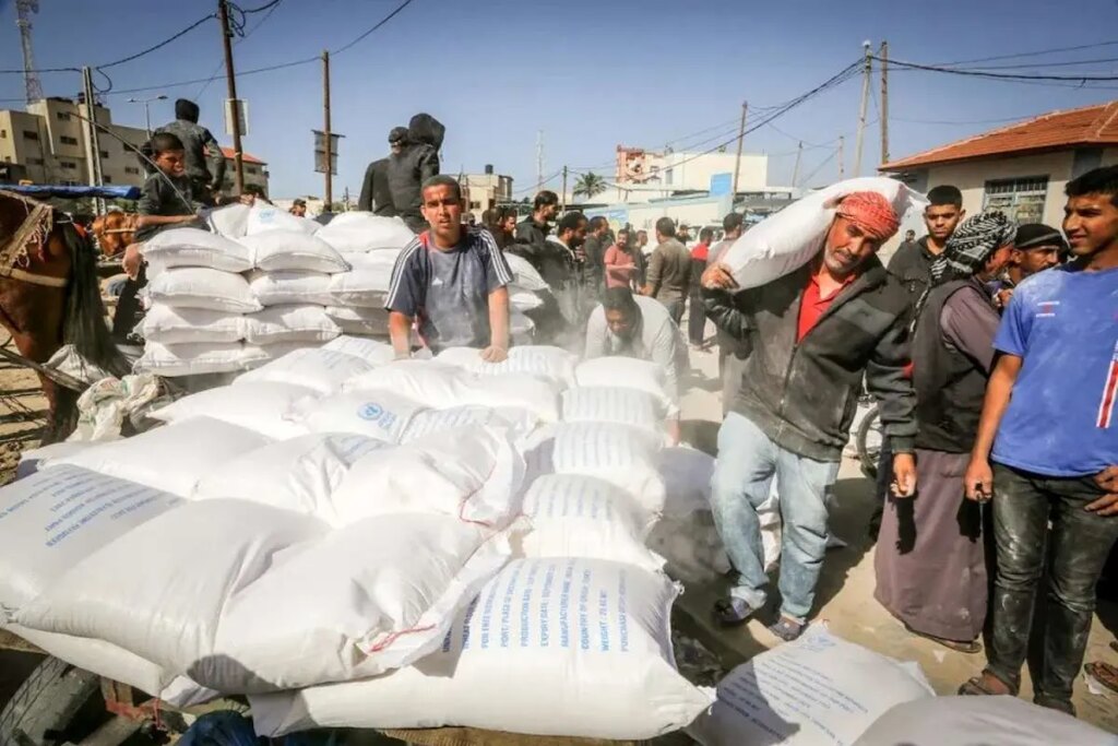 توزیع آرد در میان نوار غزه توسط برنامه جهانی غذا