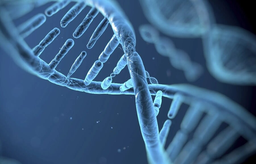 رژیم غذایی ژنتیکی ، لاغر به ترتیب بدن