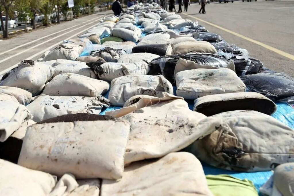 یک تن دارو در کرمان کشف کنید