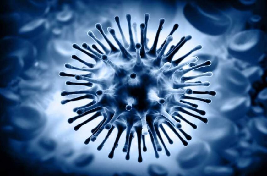 کووید ۱۹؛ شایع‌ترین ویروس بیماری‌های تنفسی در خرداد