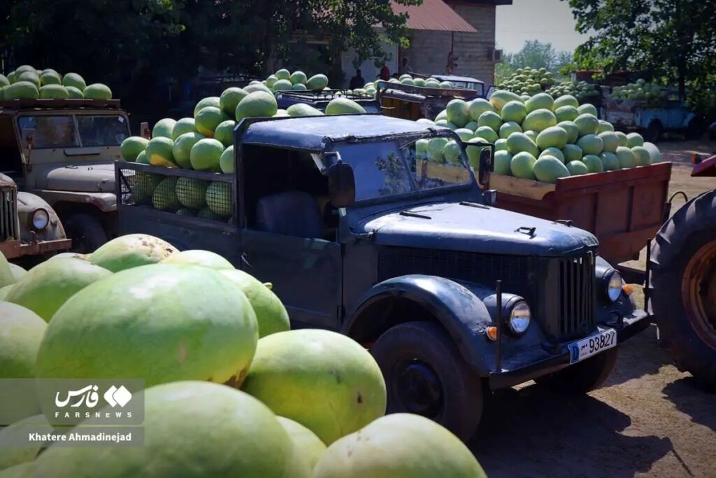تصاویر هندوانه روی اتومبیل های قدیمی تر
