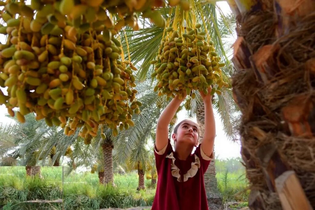 تصاویر برداشت 2 درجه