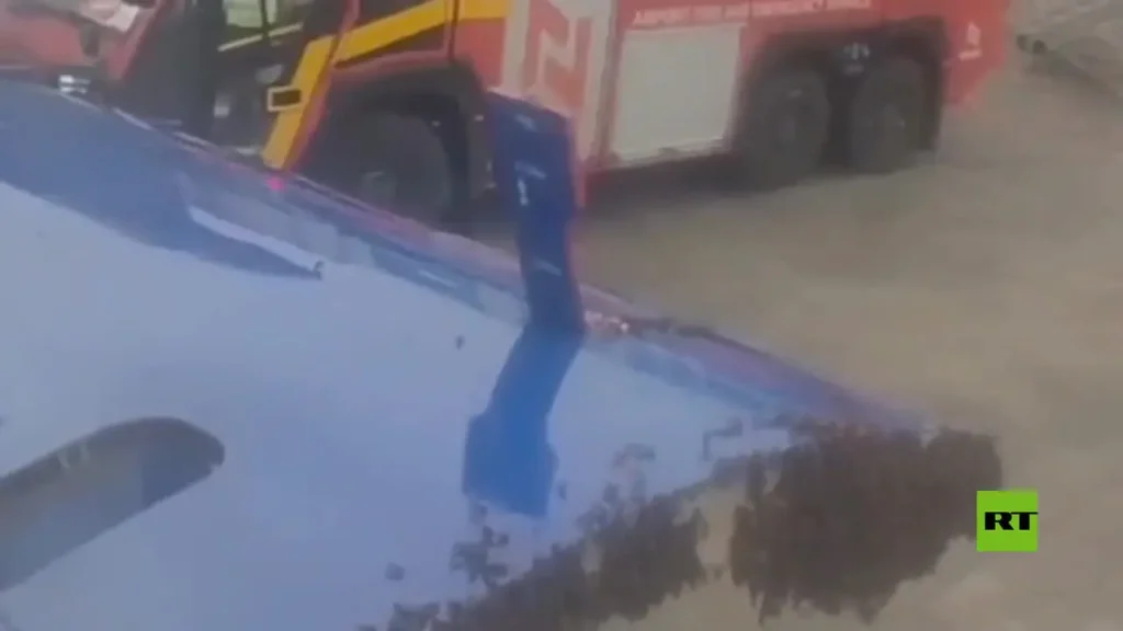 ببینید؛ هجوم زنبورها پرواز هواپیما را به تأخیر انداخت