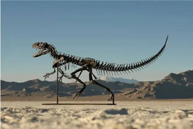 حراج تنها اسکلت 150 میلیون ساله نوزاد دایناسور