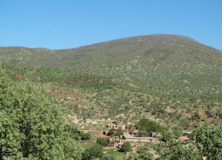 آربین زائران سفیران محیط زیست/یک ایرانی ؛ برنده