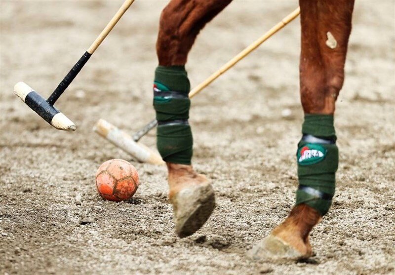 معرفی فینالیست های هفته ششم لیگ ملی