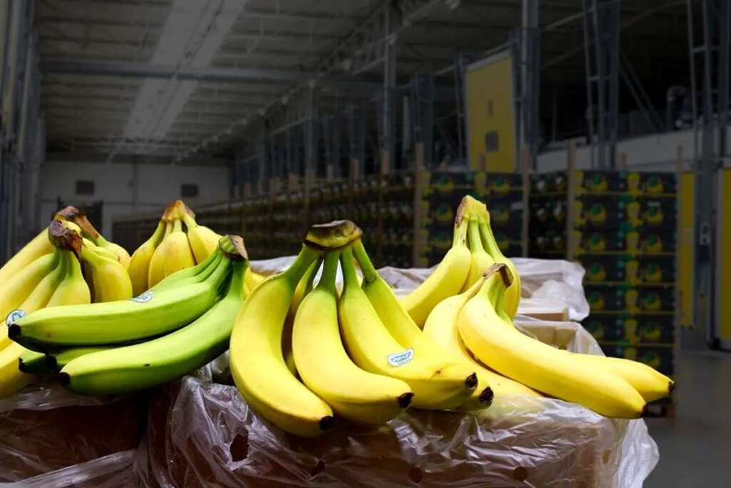 بهترین خبر برای هواداران موز در ایران