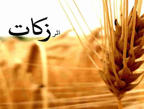 5 ٪ از زکات در محروم و معیشت آنها مصرف می شود