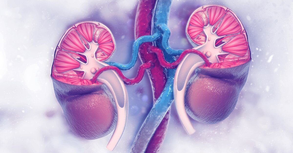 نارسایی کلیه ؛ از ژنتیک گرفته تا سبک زندگی