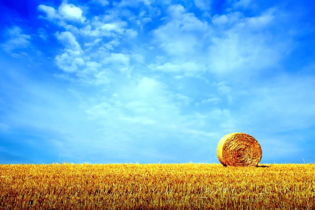 تفال به حافظ جمعه 17 مرداد ۱۴۰۴؛ به جان خواجه و حق قدیم و عهد درست.....