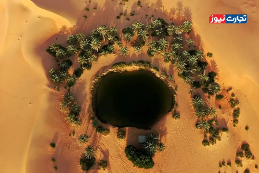 بحران آب و هوش مصنوعی