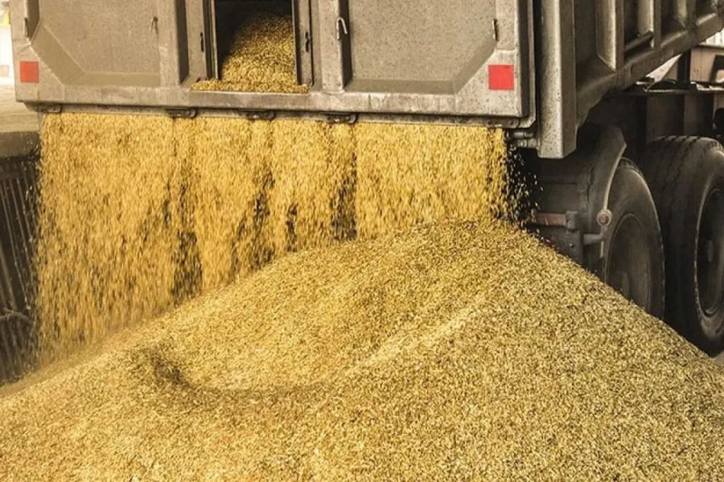 کمبود و گرانی نهاده دامی نتیجه ناکارآمدی است