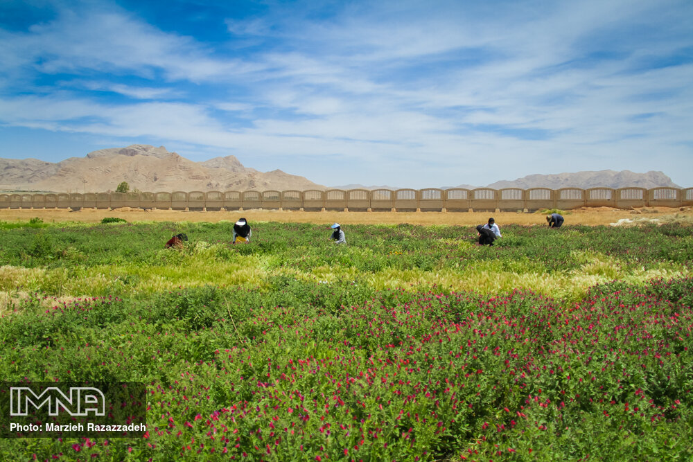 توجه به منابع طبیعی ؛ پایدار