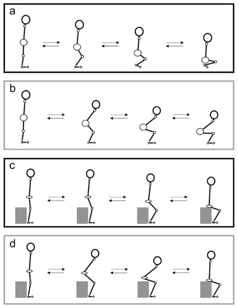 تمرین سامورایی