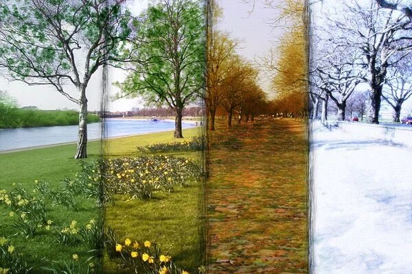 نسخه طبیعت برای تغییر فصل و تأثیر آن بر سلامتی روح و بدن