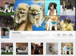 از پیشگام ایران در کاهش گازهای ازن به اولین تصویر دال معمولی