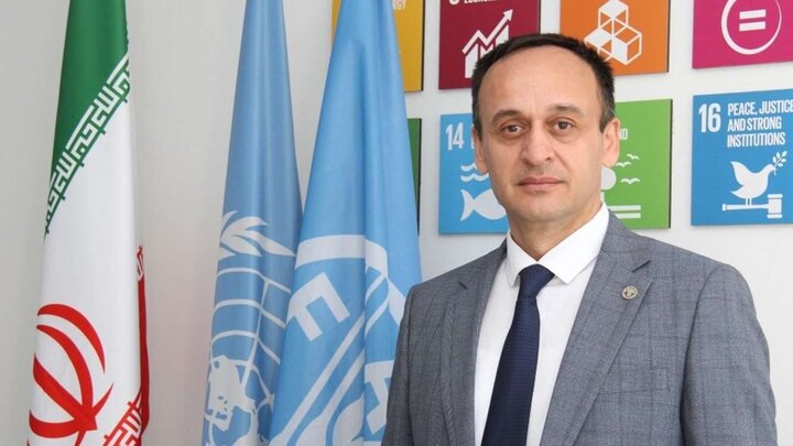 آمادگی فائو برای همکاری های فنی و تخصصی در اجرای طرح های کشاورزی ایران