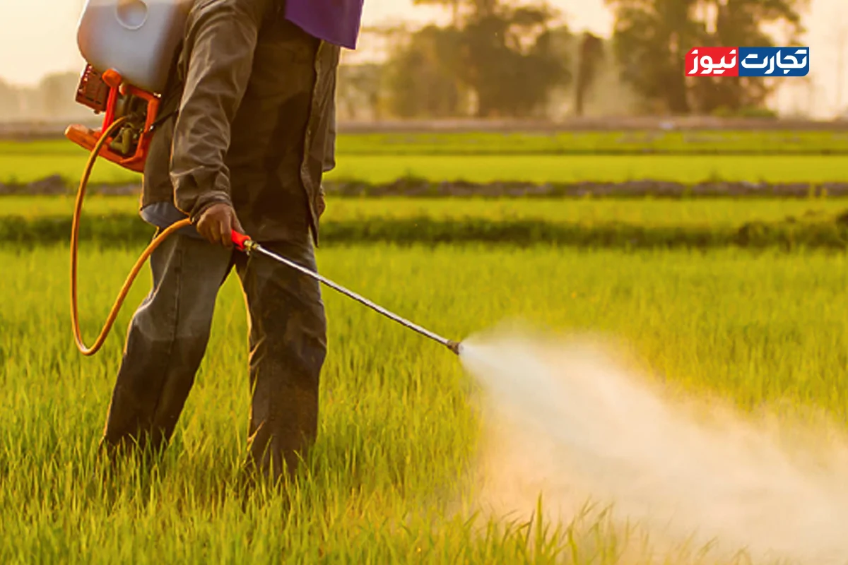 اختلال در تامین ارز سموم کشاورزی / احتمال کمبود برخی از محصولات کشاورزی در ماه‌های آینده وجود دارد!