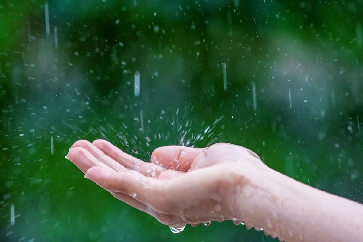 بارش باران در نوار شمالی کشور