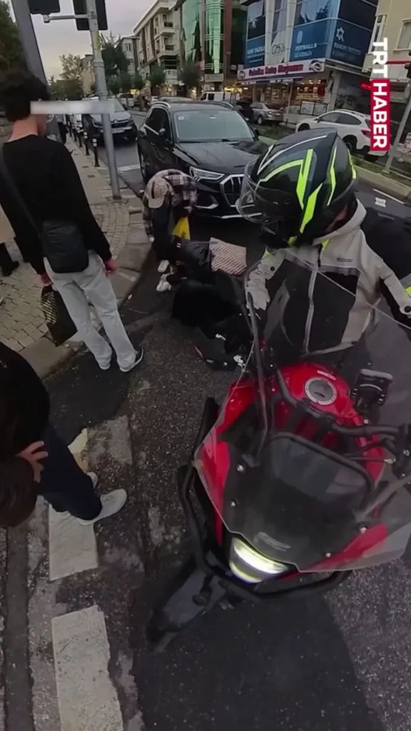 برخورد مرغ دریایی به تیر چراغ برق و اتوبوس در حال حرکت