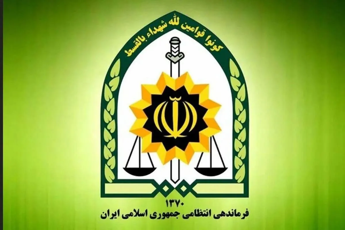 توضیح پلیس درباره بازداشت یک بازیگر معروف