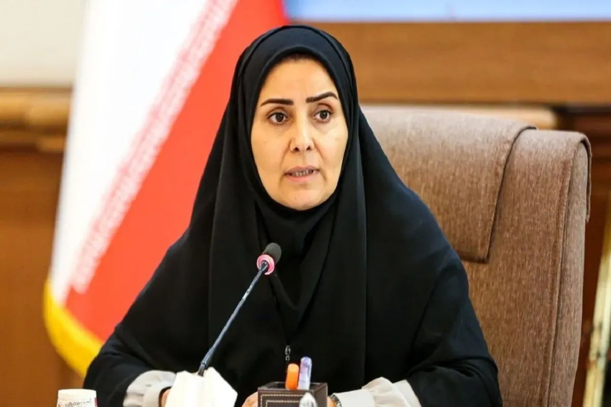 توضیحات وزیر راه درباره حاشیه‌های رخ‌داده در فرودگاه اردبیل