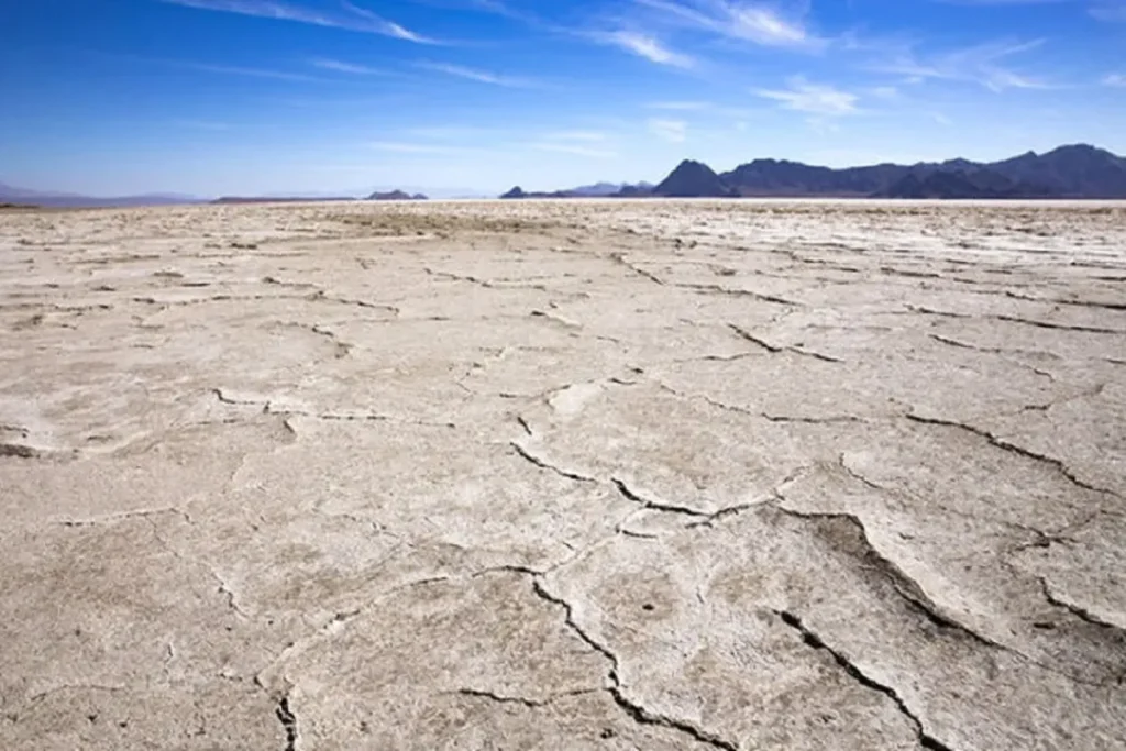 خشکی گسترده تالاب‌های فارس