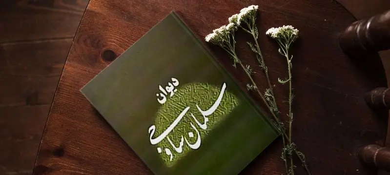 می‌برد سودای چشم مستش از راهم دگر / از کجا پیدا شد این سودای ناگاهم دگر؟