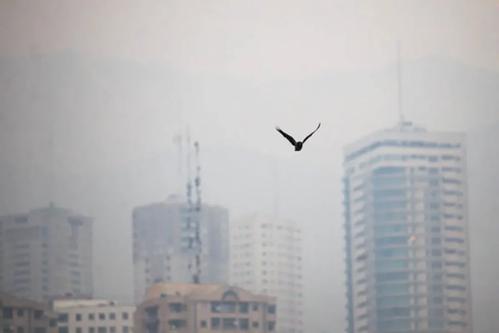 هوای مشهد آلوده است