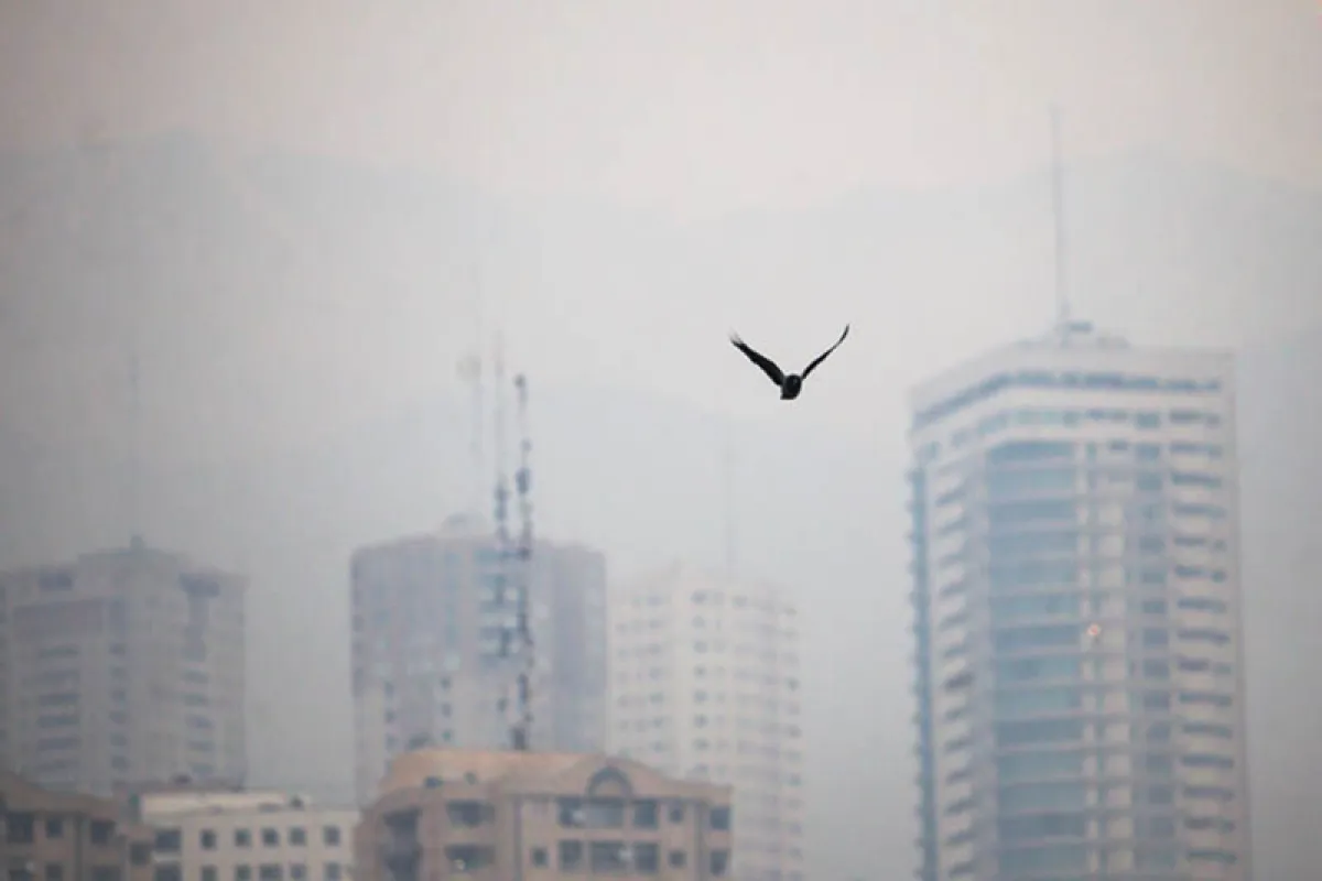 هوای مشهد آلوده است