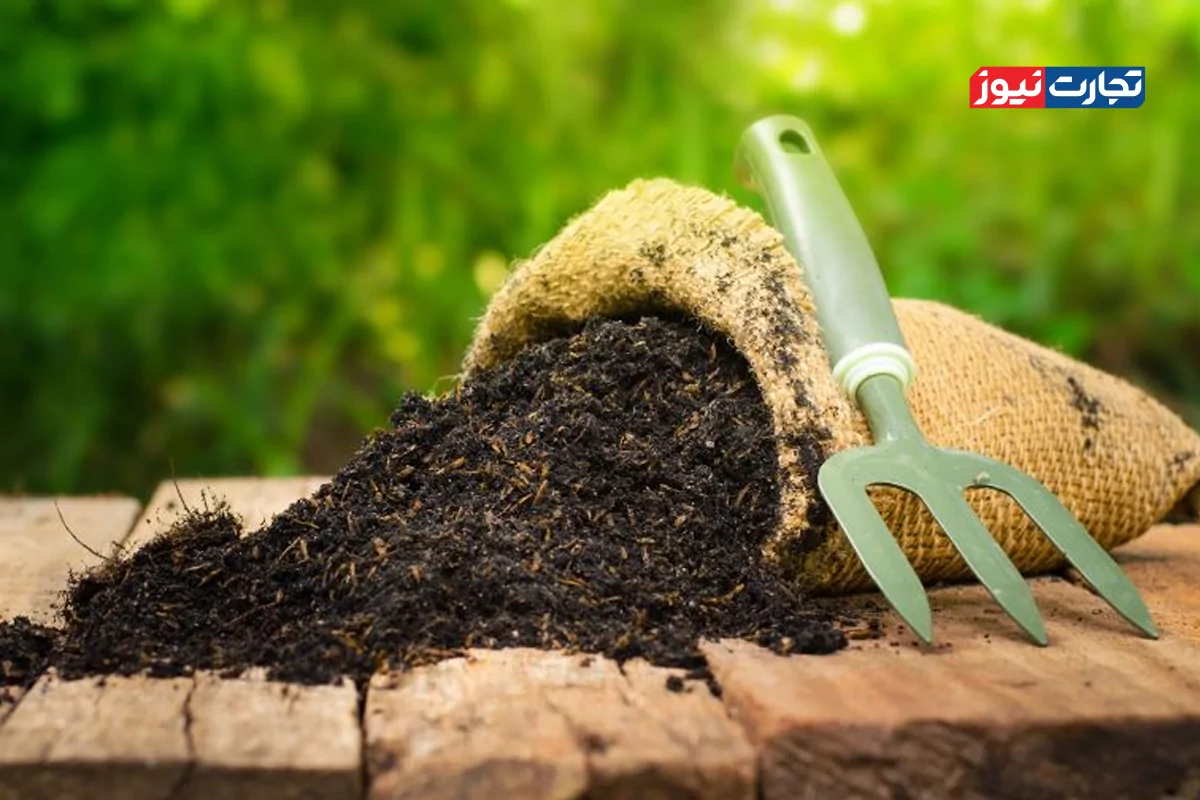 کود شیمیایی به کشورهای همسایه قاچاق می‌شود