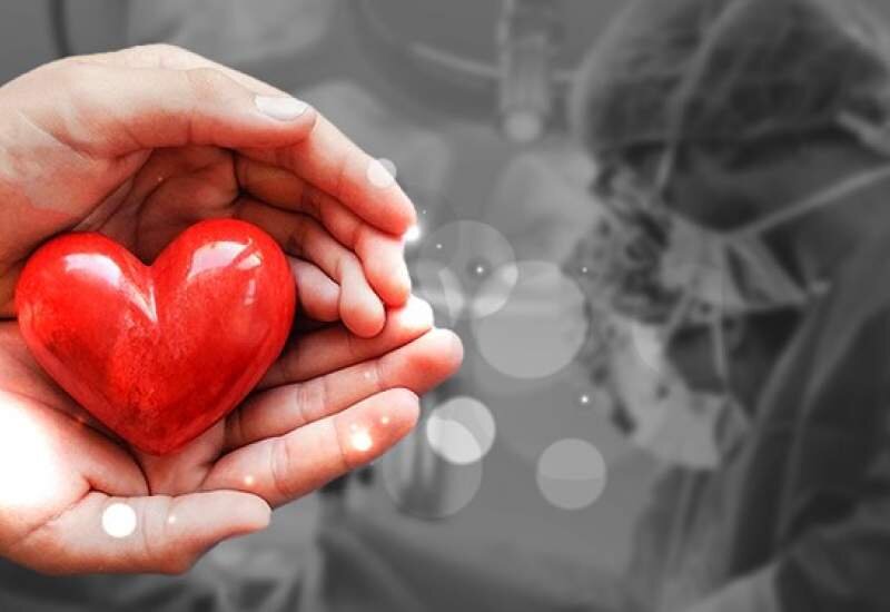 رضایت ندادن خانواده‌ مهم‌ترین مانع اهدای عضو است / ۱۰ درصد بزرگسالان کارت اهدای عضو دارند