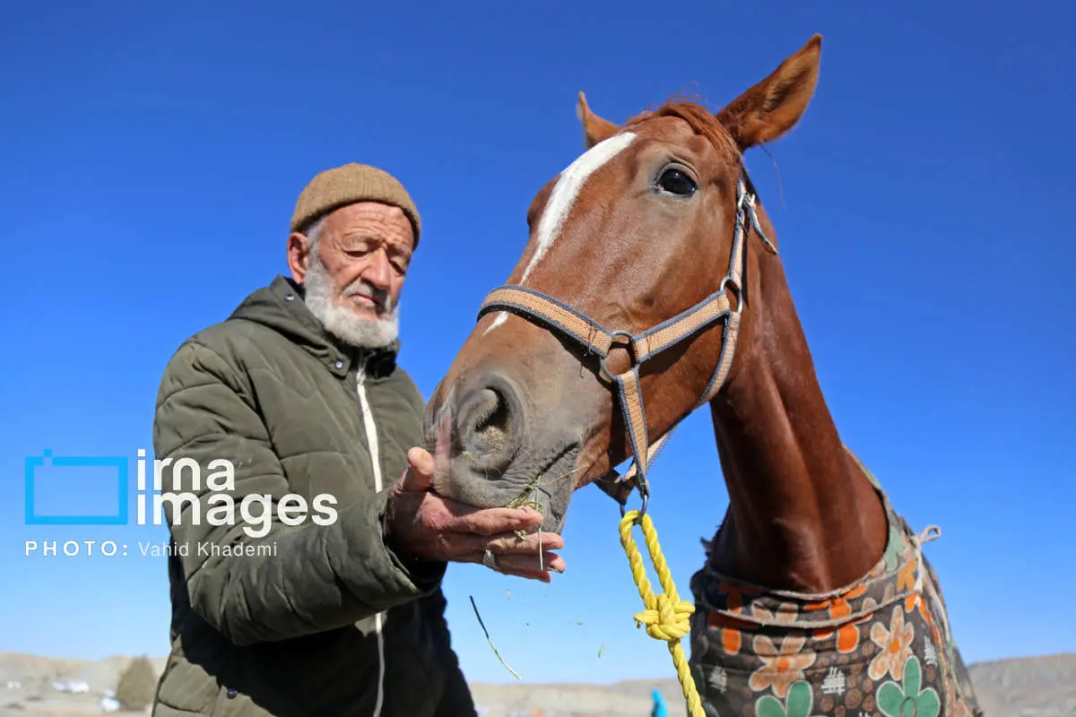 تصاویر; کورس اسب سواری روستای بغلوق