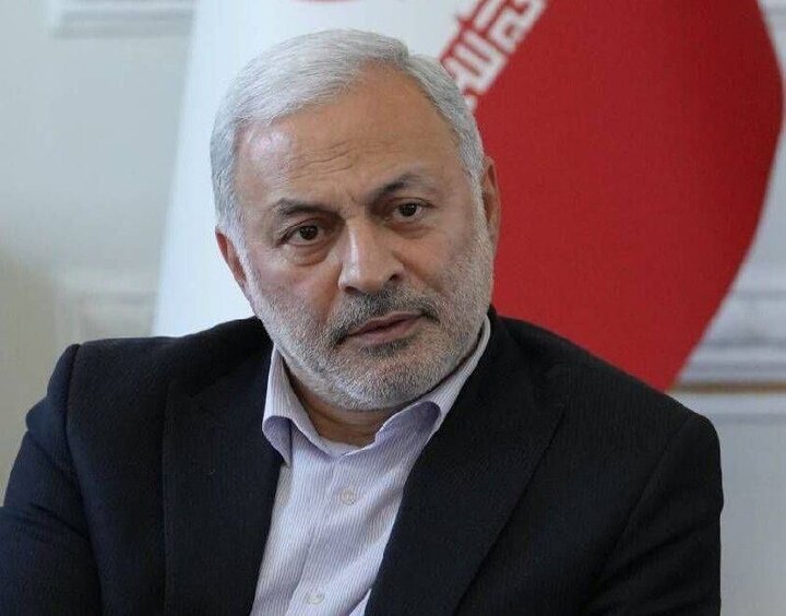 گزارش معاون وزیر امور خارجه از آخرین وضعیت لایحه حمایت از ایرانیان خارج از کشور