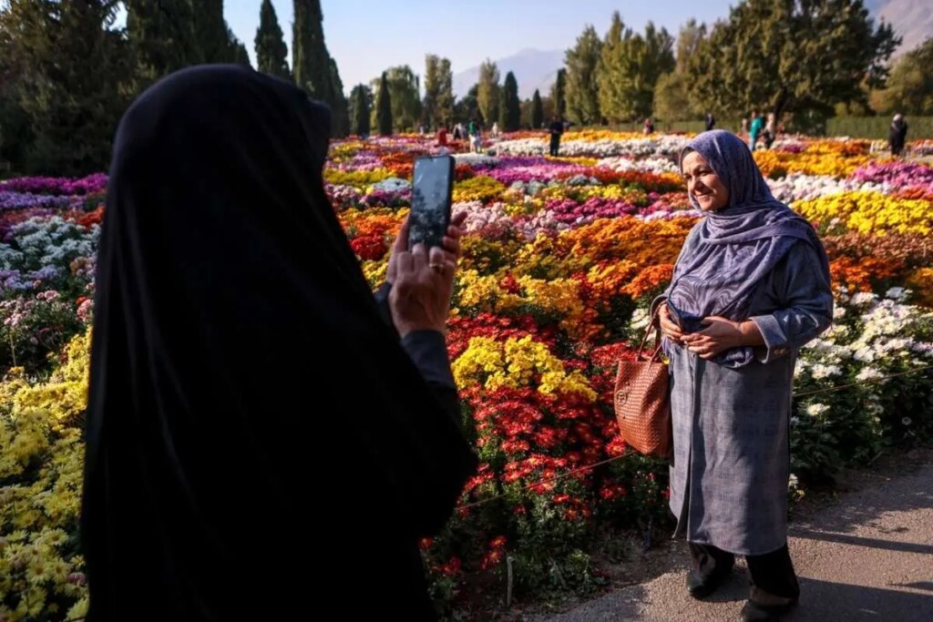 تصاویر; جشنواره گل داودی